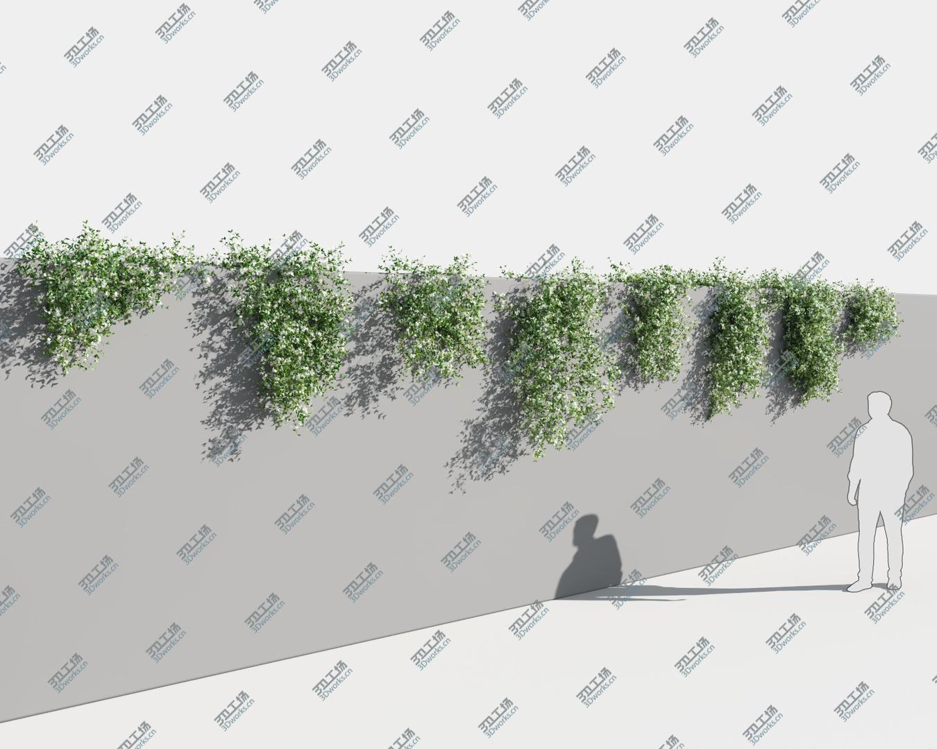 images/goods_img/202105073/Star Jasmine (-GrowFX) 3D model/4.jpg